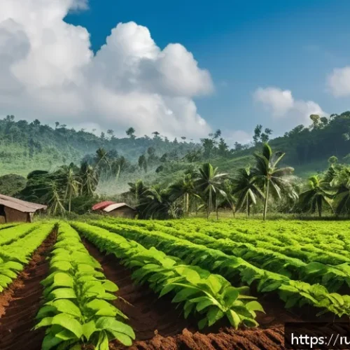 Home 26 라이베리아에서의 비즈니스 기회 - A vibrant Liberian agricultural landscape under a bright tropical sky, showcasing lush cocoa and cof...