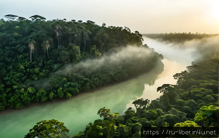 라이베리아에서 방문할 만한 자연 명소 - Photorealistic sunrise view of Sapo National Park, Liberia, ancient tropical rainforest with towerin...